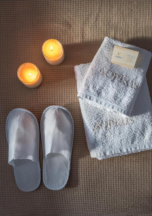 Dorkas Luxury Rooms&Apartments Livadakia Dış mekan fotoğraf